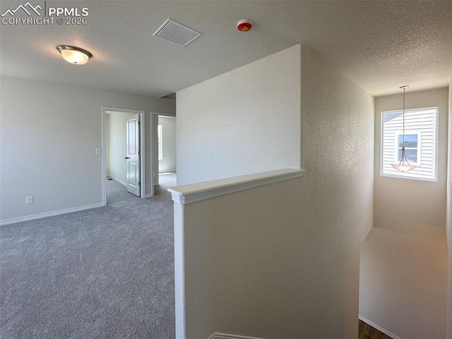 10945 Jolie Court, Falcon, CO 80831