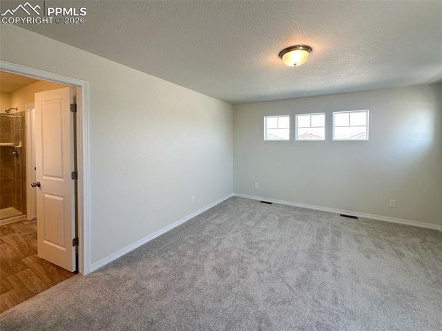 10945 Jolie Court, Falcon, CO 80831