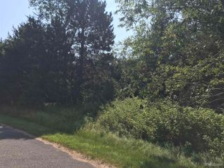 TBD Meadowbrook Hills Drive, Florence T-wi, WI 54121