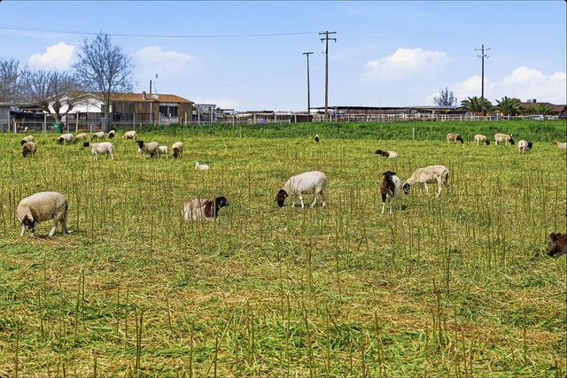 5520 Rd 42, Alpaugh, CA 93201