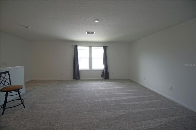 12905 BROOKSIDE MOSS DRIVE, Riverview, FL 33579