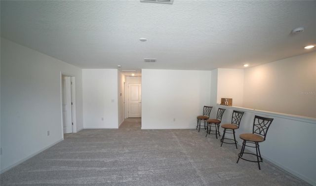 12905 BROOKSIDE MOSS DRIVE, Riverview, FL 33579