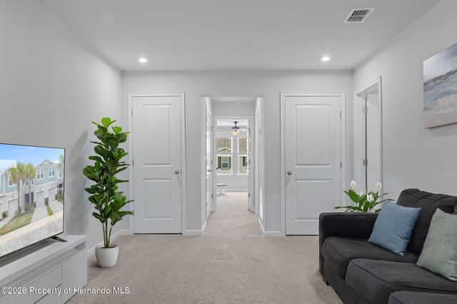 31449 Woodland Race Loop, Wesley Chapel, FL 33545