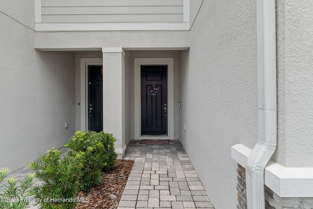 31449 Woodland Race Loop, Wesley Chapel, FL 33545