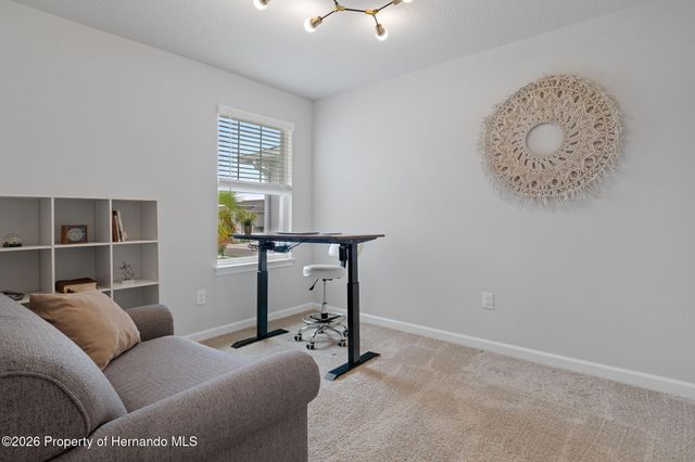 31449 Woodland Race Loop, Wesley Chapel, FL 33545