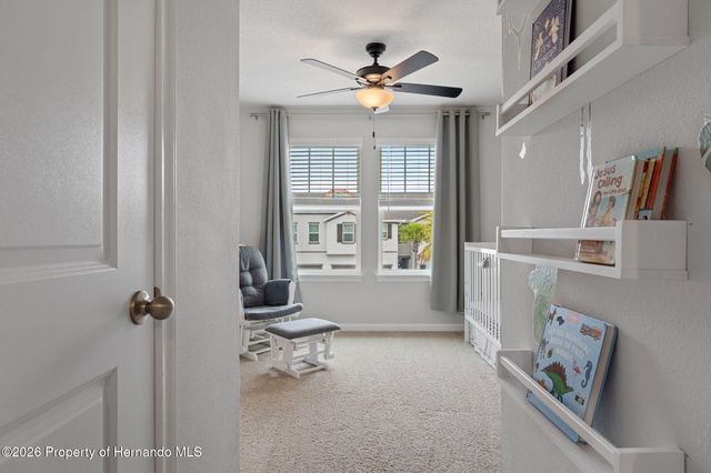 31449 Woodland Race Loop, Wesley Chapel, FL 33545