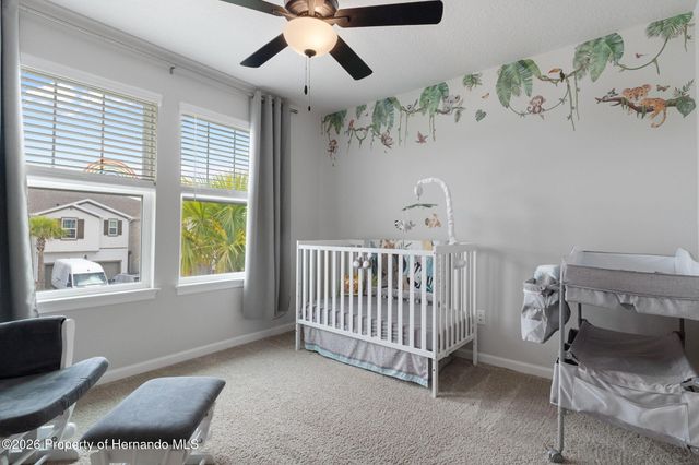 31449 Woodland Race Loop, Wesley Chapel, FL 33545