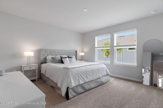 31449 Woodland Race Loop, Wesley Chapel, FL 33545