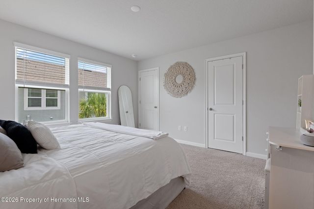31449 Woodland Race Loop, Wesley Chapel, FL 33545