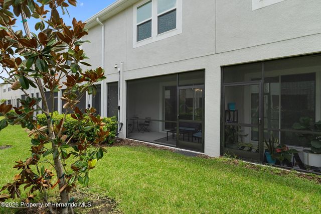 31449 Woodland Race Loop, Wesley Chapel, FL 33545