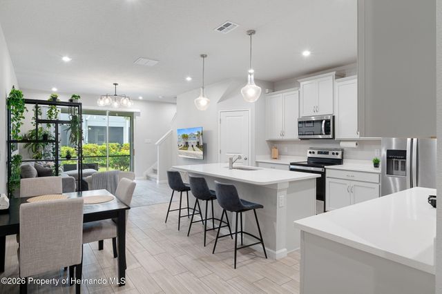 31449 Woodland Race Loop, Wesley Chapel, FL 33545