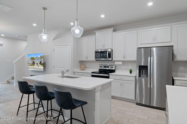 31449 Woodland Race Loop, Wesley Chapel, FL 33545