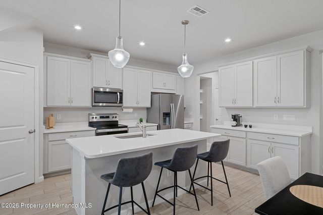 31449 Woodland Race Loop, Wesley Chapel, FL 33545