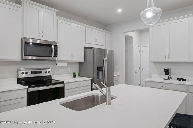 31449 Woodland Race Loop, Wesley Chapel, FL 33545