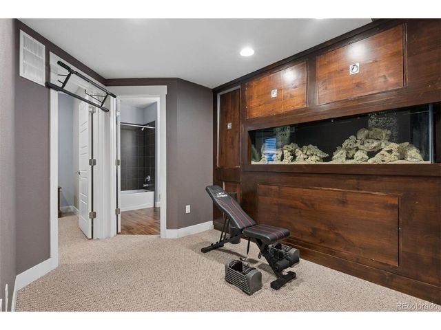 4969 Tamarac St, Denver, CO 80238