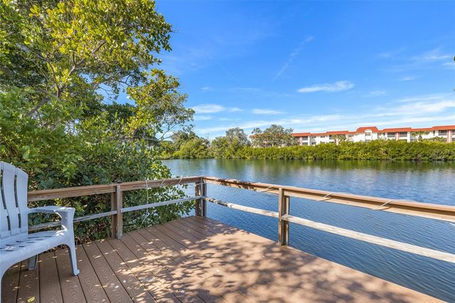 4580 OVERLOOK DRIVE NE 293, St Petersburg, FL 33703
