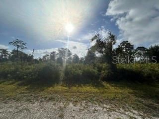 BLK 63 LOTS 11&12 EL DORADO DRIVE, Indian Lake Estates, FL 33855