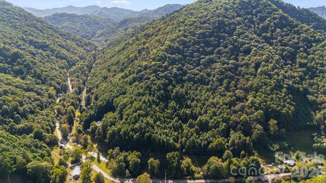 0 Big Laurel Road, Mars Hill, NC 28754