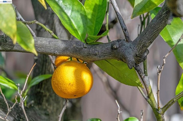 21330 21330 TYEE STREET, Castro Valley, CA 94546