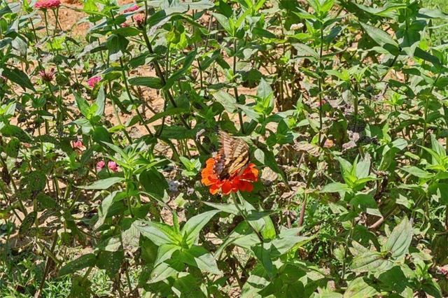 250 Stagecoach Road, Oxford, GA 30054