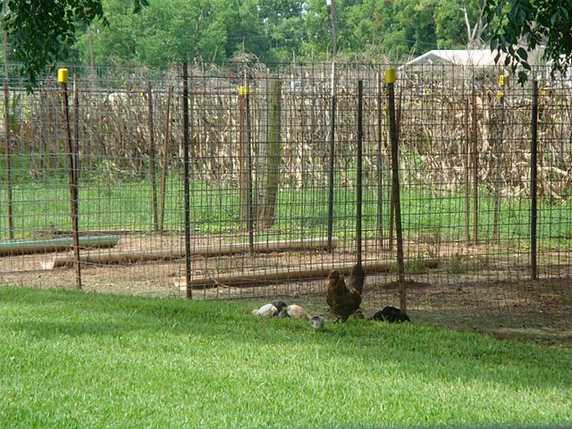 2445 Precinct Line Road, Richmond, TX 77406