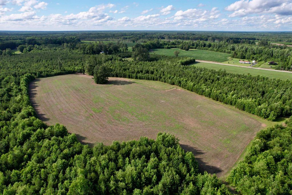 85± Acres - Muddy Creek Rd., Johnsonville, SC 29555 — exterior