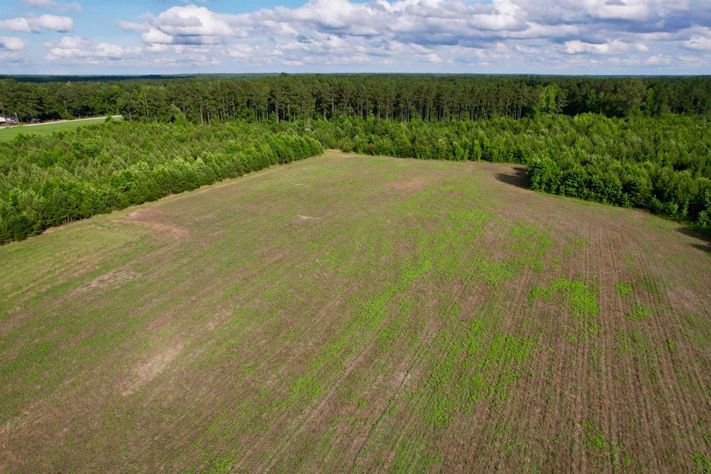 85± Acres - Muddy Creek Rd., Johnsonville, SC 29555 — photo 2