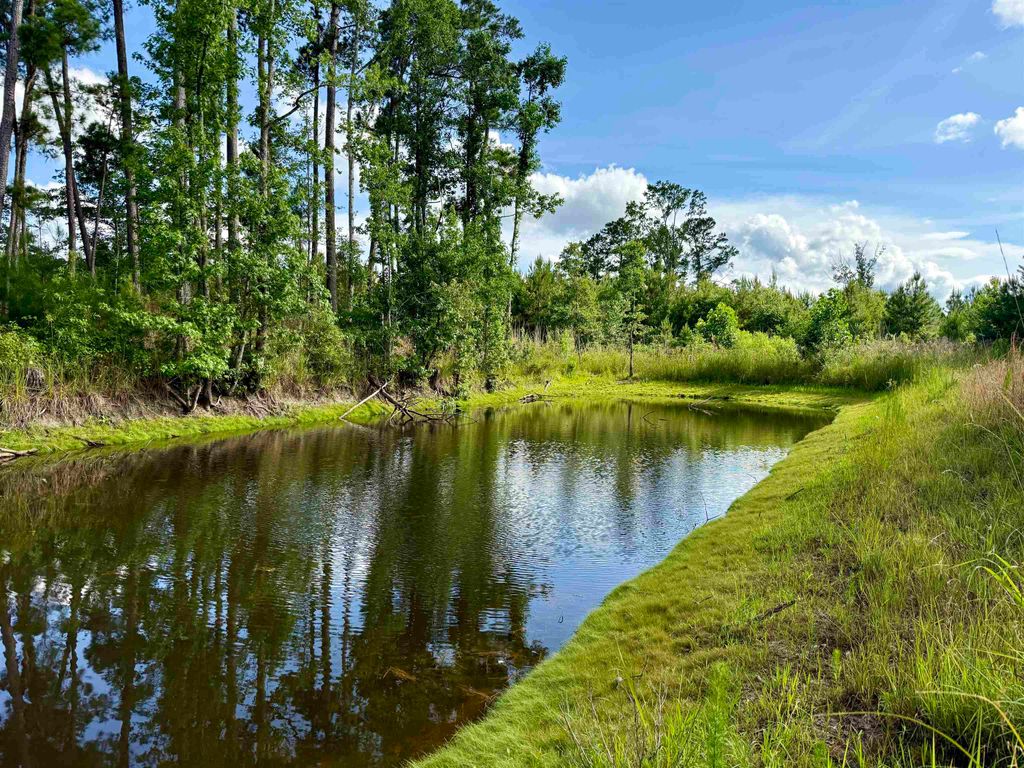 85± Acres - Muddy Creek Rd., Johnsonville, SC 29555 — photo 3