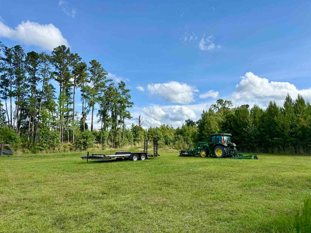 85± Acres - Muddy Creek Rd., Johnsonville, SC 29555 — photo 4