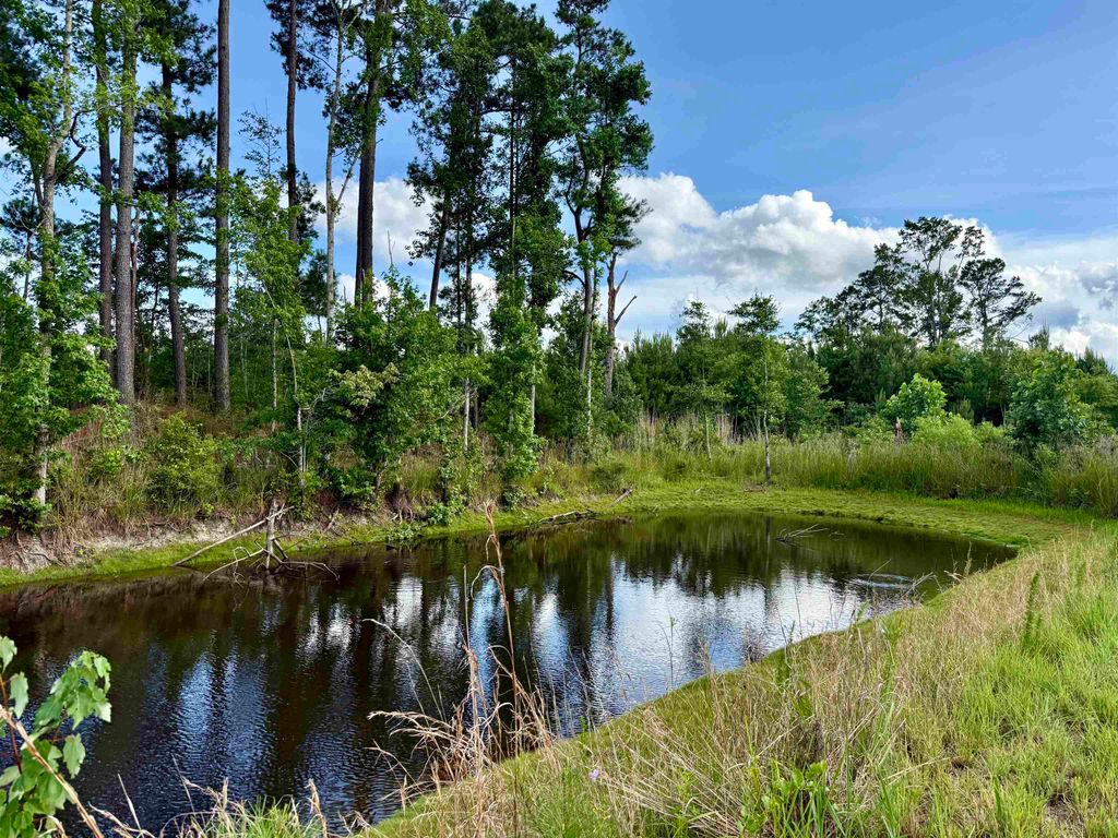 85± Acres - Muddy Creek Rd., Johnsonville, SC 29555 — photo 5