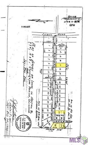 Brooks Dr, Denham Springs, LA 70726