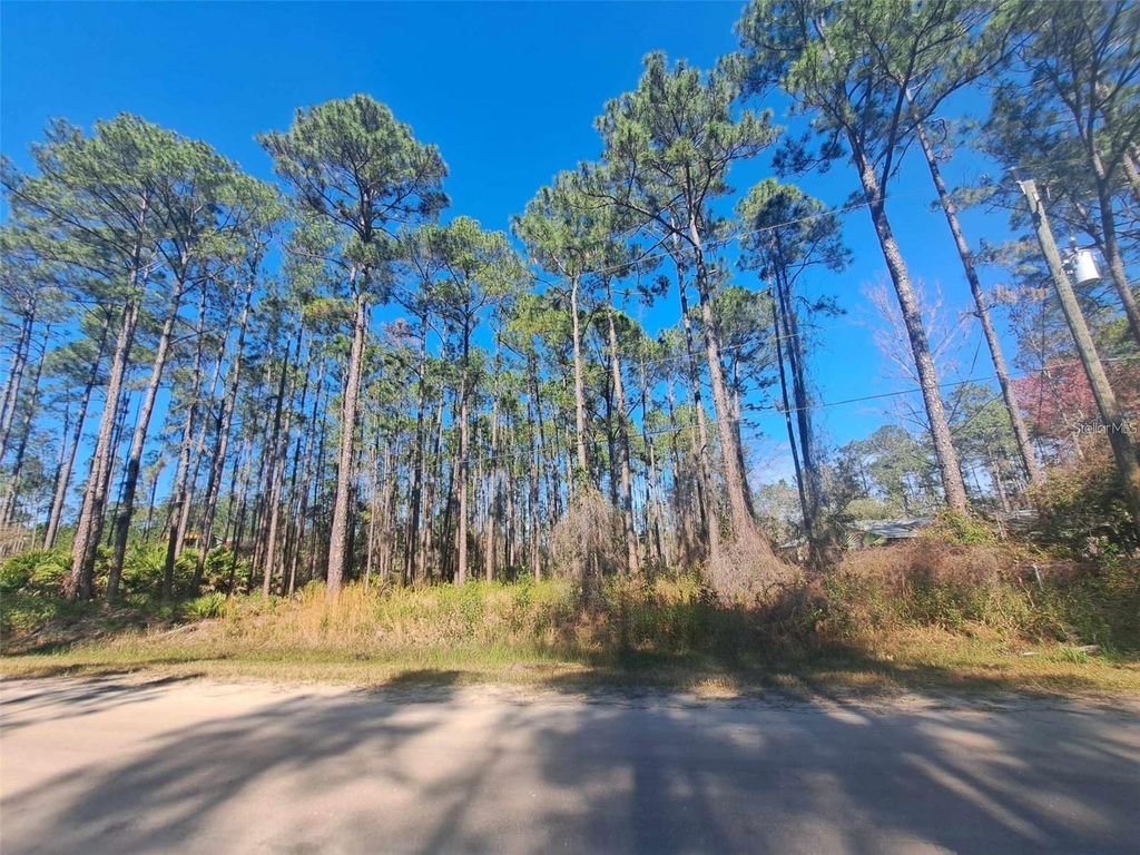 5146 LIME AVENUE, Bunnell, FL 32110
