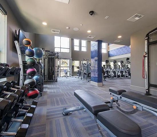 2910 Milam Street 1202, Houston, TX 77006