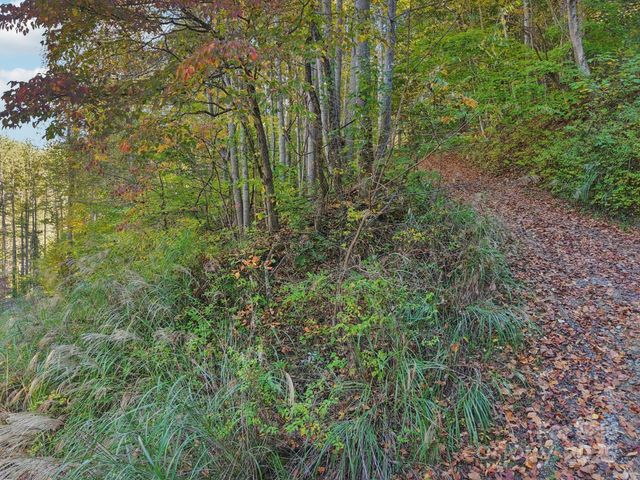TBD Timberside Drive, Mars Hill, NC 28754