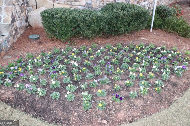 341 Graham Campbell Lane, Statham, GA 30666