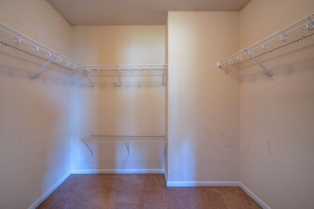 1017 Golden Aspen Drive, Moncks Corner, SC 29461