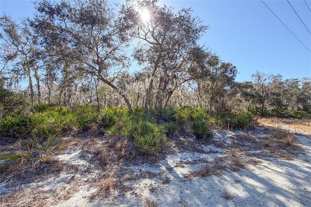 3201 SCRUB OAK LANE, Lake Wales, FL 33898