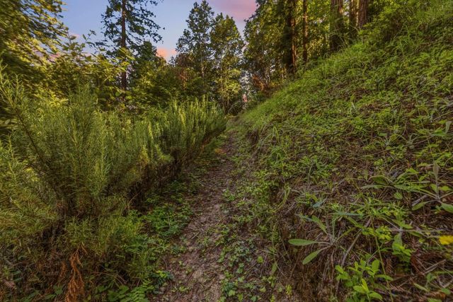345 Mcgaffigan Mill Road, Boulder Creek, CA 95006
