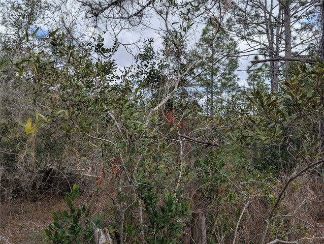 0 GANNET AVENUE, Weeki Wachee, FL 34613