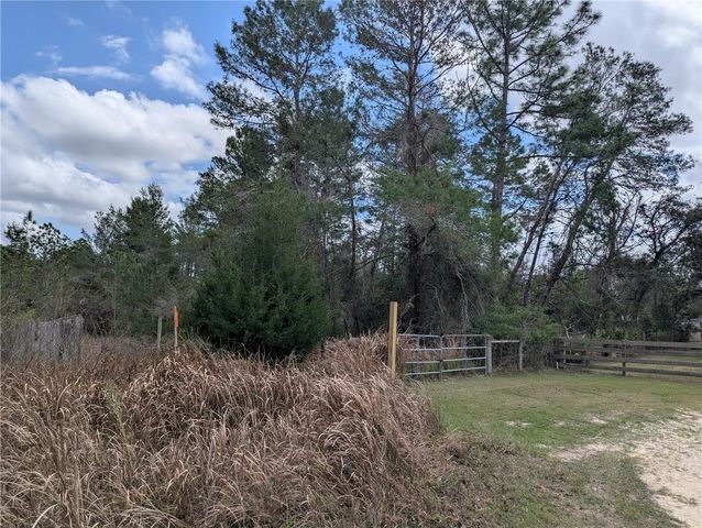 0 GANNET AVENUE, Weeki Wachee, FL 34613