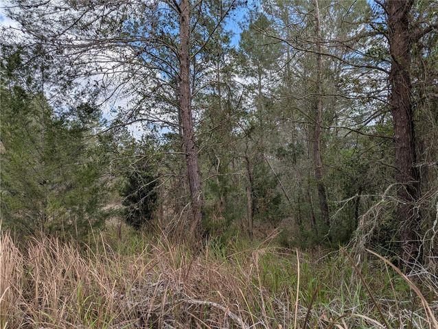 0 GANNET AVENUE, Weeki Wachee, FL 34613