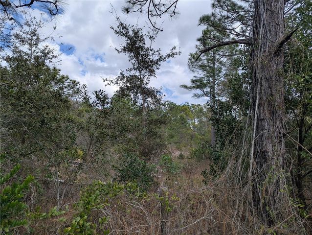 0 GANNET AVENUE, Weeki Wachee, FL 34613