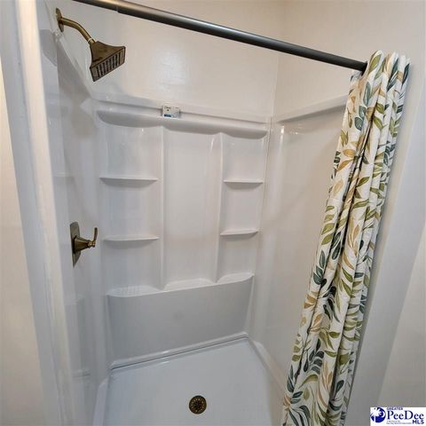 301 W Smith Street, Timmonsville, SC 29161