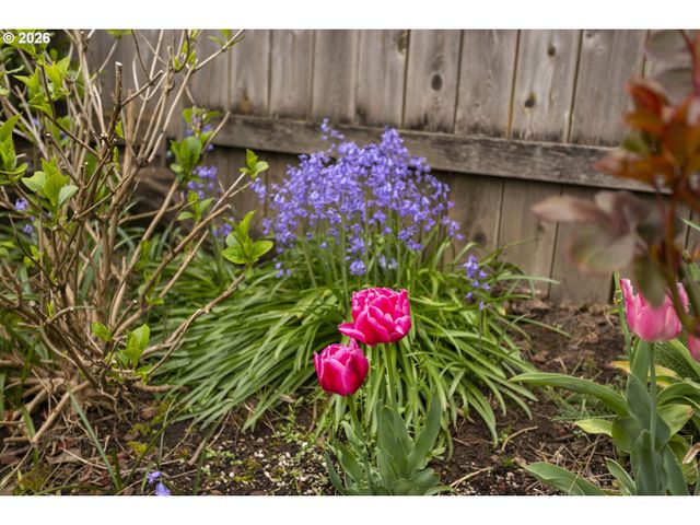 6615 Se 43RD Ave, Portland, OR 97206