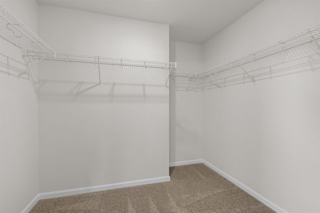 821 Rivas Way, Conway, SC 29527