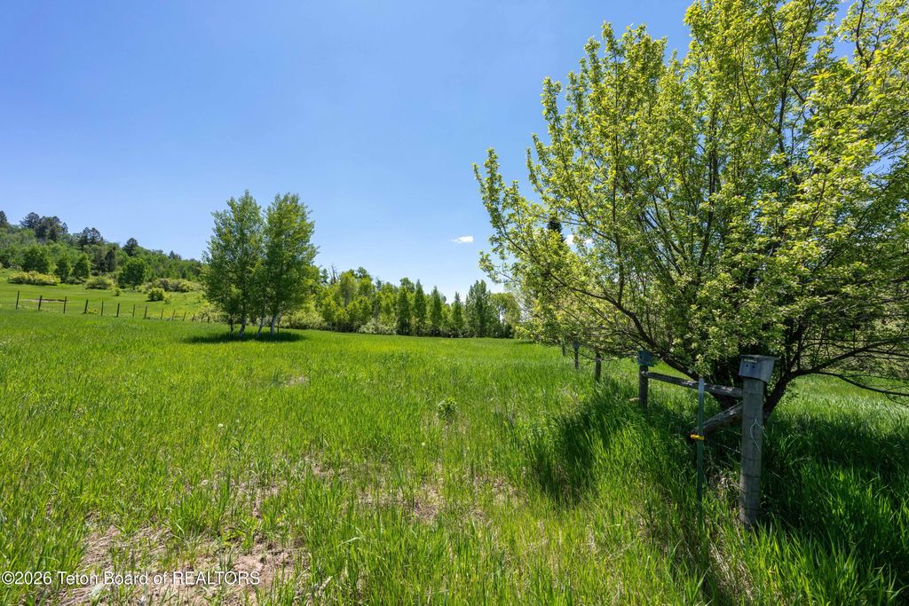 LOTS 1 & 2 LEVER SPRINGS Road, Alpine, WY 83128 photo 21