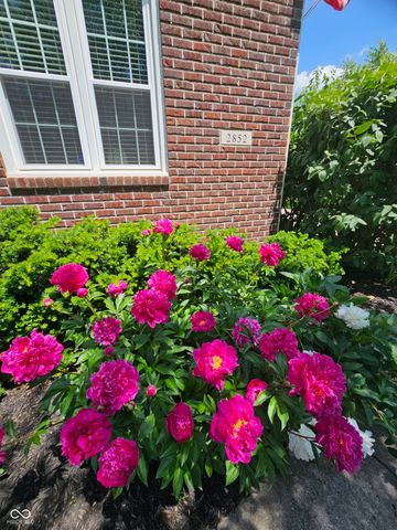 2852 Maralice Drive, Carmel, IN 46033
