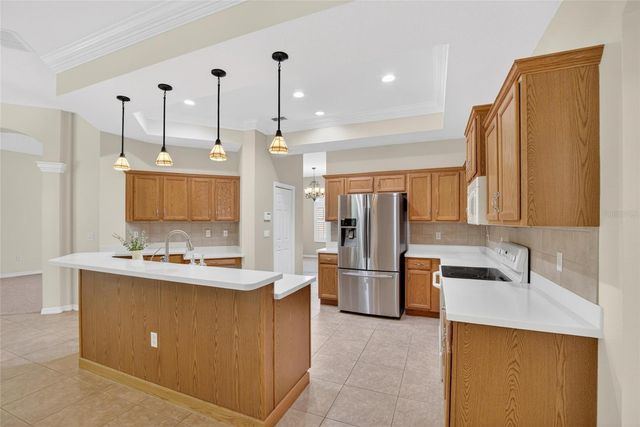 21234 TANGOR ROAD, Land O Lakes, FL 34637