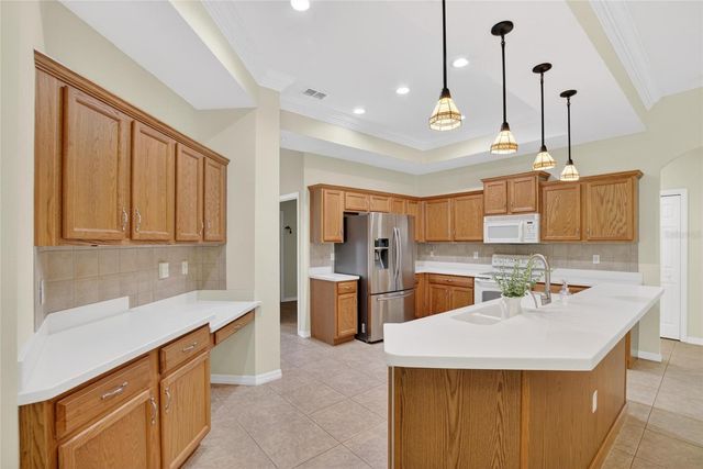 21234 TANGOR ROAD, Land O Lakes, FL 34637