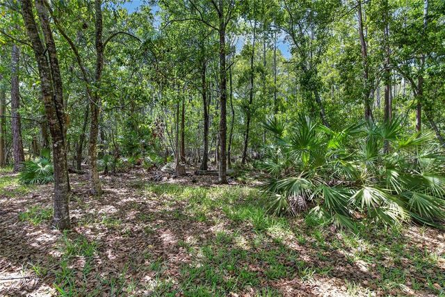 21234 TANGOR ROAD, Land O Lakes, FL 34637